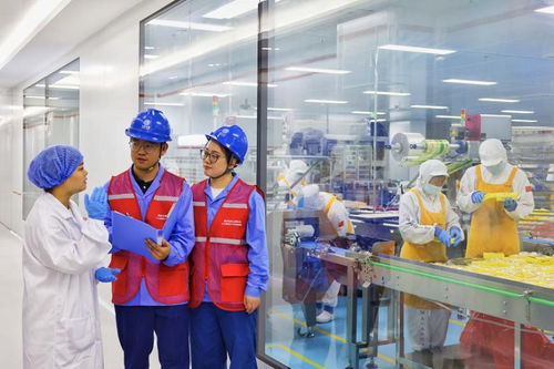 奮進(jìn)強國路 闊步新征程 為美好生活充電 電力工程的勘察